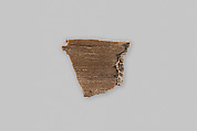 Fragment, fossilized wood, Wood