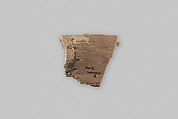 Fragment, fossilized wood, Wood