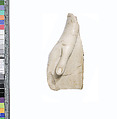 Hand, Indurated limestone