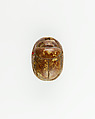 Scarab Inscribed With the Cartouche of Maatkare (Hatshepsut), Steatite (glazed)