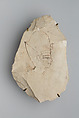Ostracon Depicting a King's Head, Limestone, ink