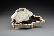 Container in the Shape of a Duck, Wood (Sycomore?), stucco, pitch