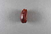 Scarab, Sard