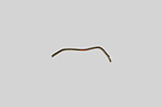 Rod, Copper