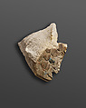 Relief fragment with feathers - see 26.3.353*, 31.3.1-1, Limestone, paint