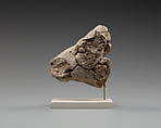 Calf's head, Clay (unfired)