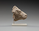 Calf's head, Clay (unfired)