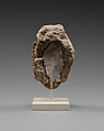 Calf's head, Clay (unfired)