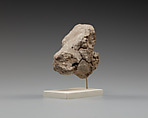 Calf's head, Clay (unfired)