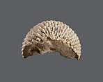 Wig fragment, Faience