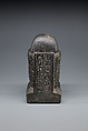 Block Statue of the Scribe of Divine Offerings, Tjaenwaset, son of Harsiese, Dolerite