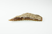 Sickle Insert, Flint, adhesive (lime plaster ?)