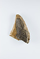 Sickle Insert, Flint, adhesive (lime plaster ?)