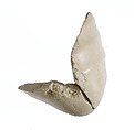 Elbow, with garment, Indurated limestone