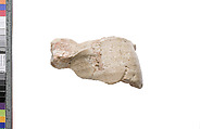 Shoulder with garment and wig, Indurated limestone