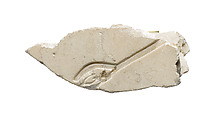 Pictorial relief, Aten hand, Indurated limestone