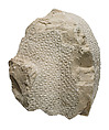 Blue crown from head of Akhenaten, Indurated limestone