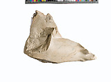 Right foot and leg of Akhenaten or Nefertiti prostrate, Indurated limestone
