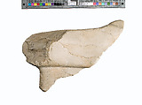 Right foot and leg of Akhenaten or Nefertiti prostrate, Indurated limestone