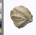 Right eye and brow from head of king in the 'blue' crown, Indurated limestone