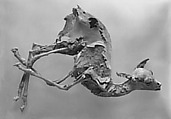 Gazelle of Ankhshepenwepet, Animal remains