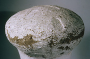 Sealed Jar from the Tomb of Yuya and Tjuyu, Pottery, whitewash, mud