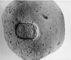 Ball of Mud with Seven Seal Impressions of Amenhotep III, Mud