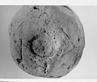 Ball of Mud with Seven Seal Impressions of Amenhotep III, Mud
