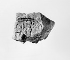 Document Sealing With the Throne Name of Amenhotep III, Mud