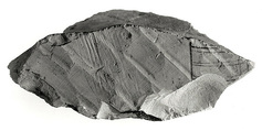 Fragment depicting a part of a drawing of funerary boat, Limestone, varnish