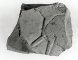 Raised relief fragment, Limestone, stains