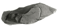 Raised relief fragment, Limestone