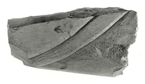 Raised relief fragment, Limestone, varnish