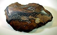 Biface, commonly referred to as a hand ax, Flint