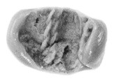Sealing, Clay (unfired)