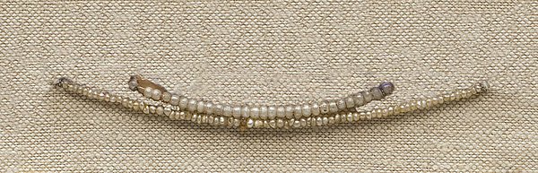 String of 29 Beads