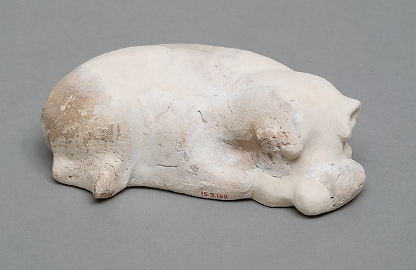 Hippopotamus
