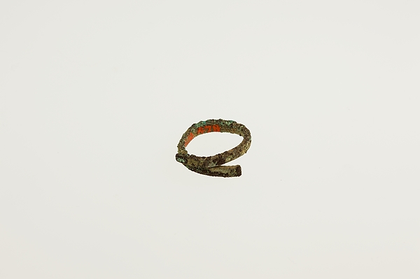 Wire earring