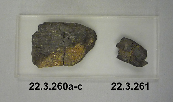 Charcoal Fragment, ca. 1473–1458 BCE