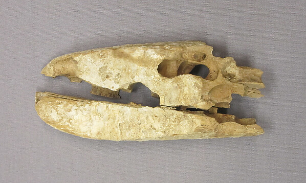 Fragment from a door by an unrecorded maker, The Metropolitan Museum of Art