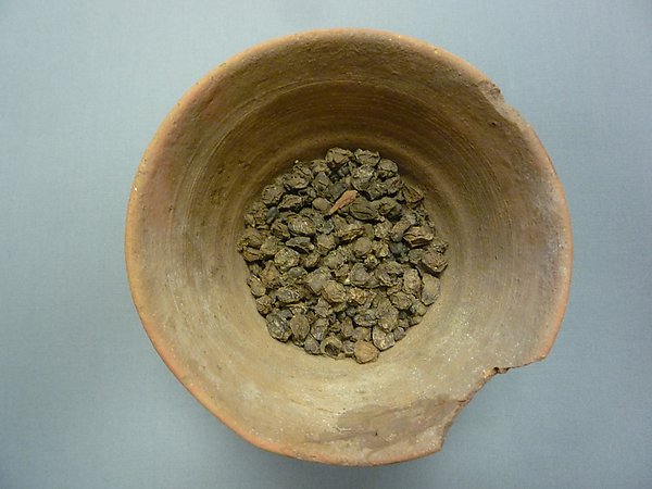 Bowl of Raisins