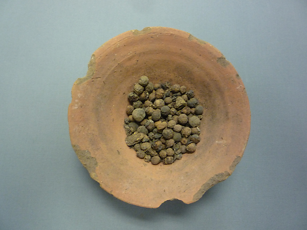 Bowl of Jujube Berries