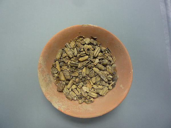 Bowl of Dates