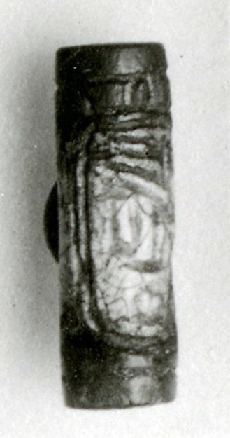 Cylinder Seal