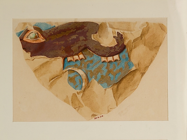 Hippopotamus Head