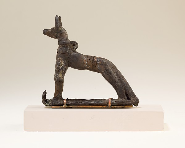Jackal