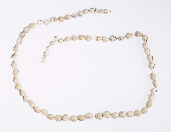 Hepy, String of periwinkle shells