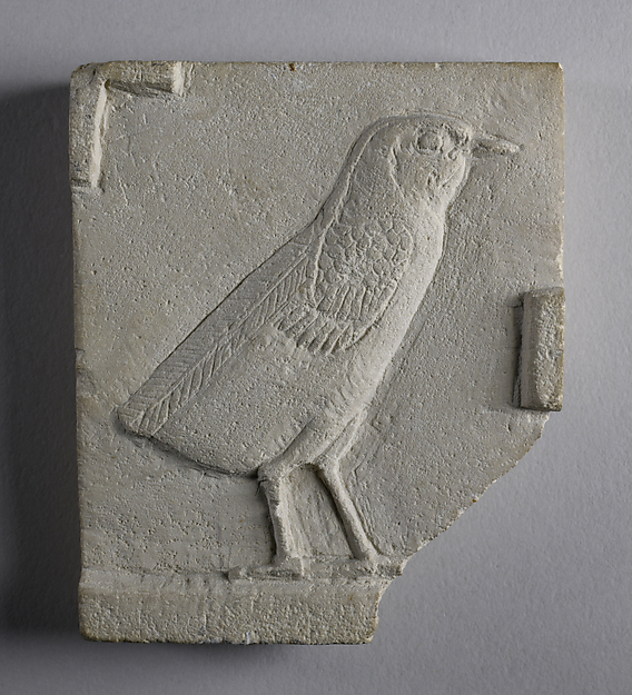 Relief of quail chick, preliminary sketch opposite side