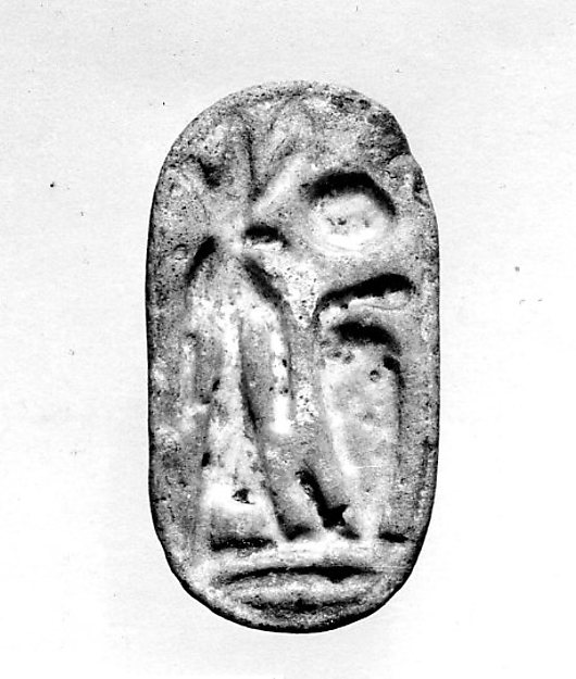 Seal
