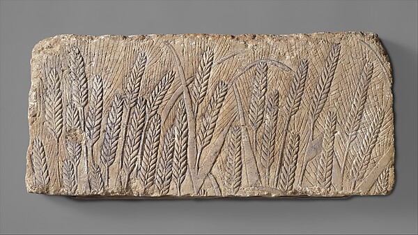 Ripe barley